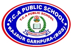 TCA Public School